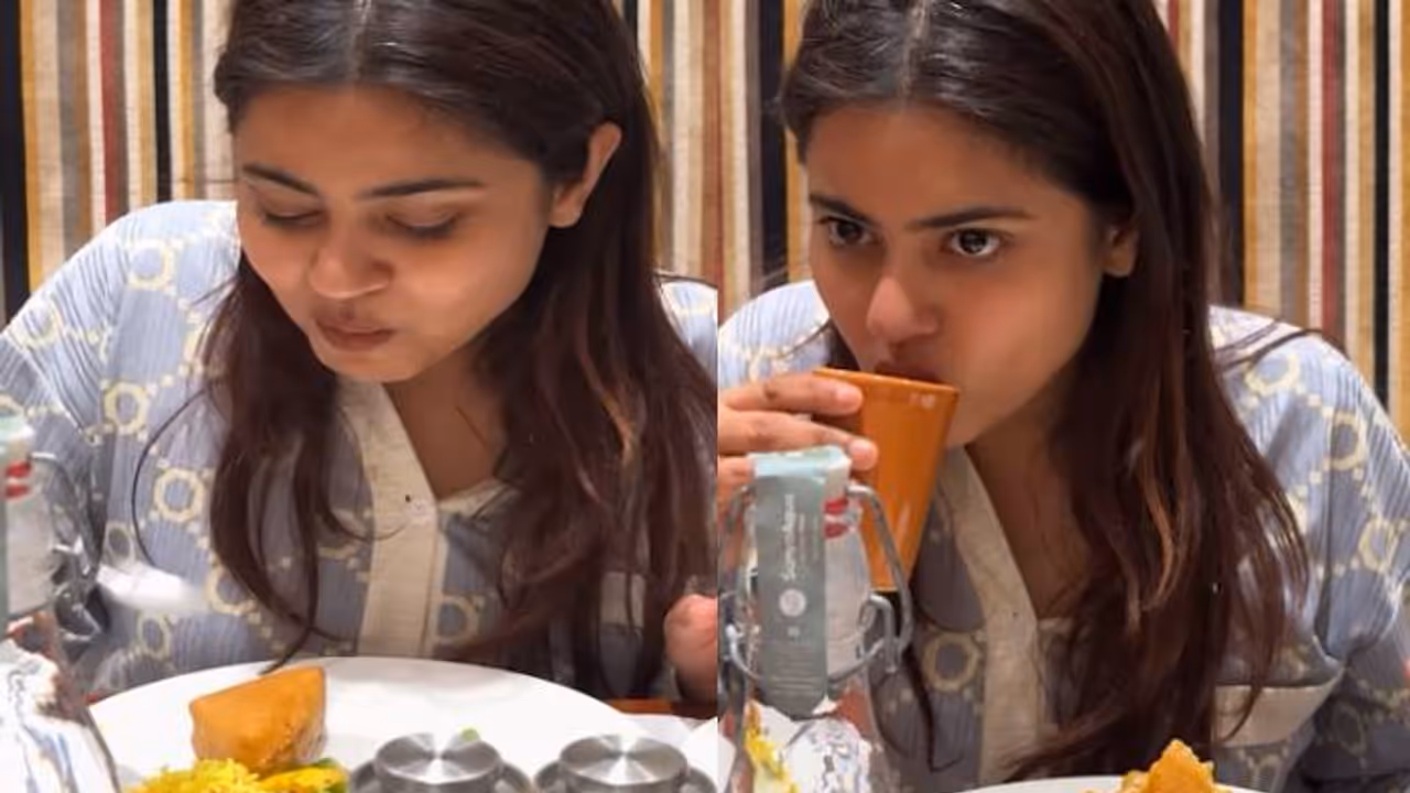 പൈജാമ ധരിച്ച് ഹോട്ടലിലേക്ക്, വ്യാജ റൂം നമ്പർ, ഭക്ഷണം കഴിച്ചപ്പോൾ ഫോൺ മറന്നു, കയ്യോടെ പിടികൂടി; വിമര്‍ശനം