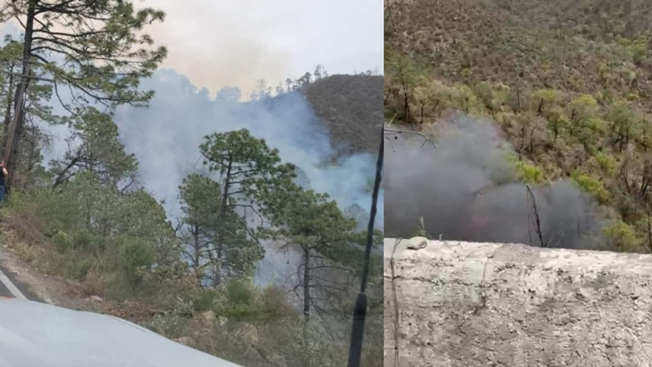 വനമേഖലയിൽ നിന്ന് വലിയ രീതിയിൽ പുക, തീ അണയ്ക്കാനെത്തിയപ്പോൾ കണ്ടത് കൊക്കയിലേക്ക് വീണ വാൻ, 12 മരണം വനമേഖലയിൽ നിന്ന് വലിയ രീതിയിൽ പുക, തീ അണയ്ക്കാനെത്തിയപ്പോൾ കണ്ടത് കൊക്കയിലേക്ക് വീണ വാൻ, 12 മരണം