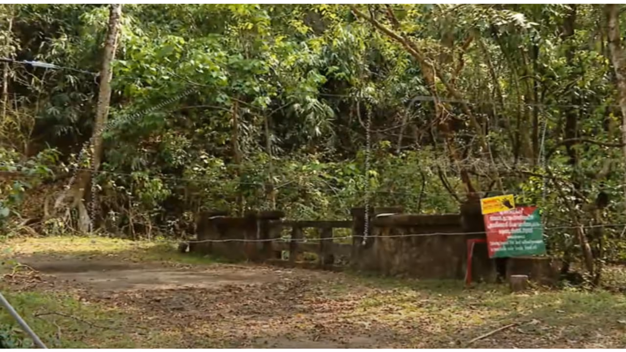 ആലുവയിൽ നിന്ന് മൂന്നാറിലേക്ക് പോകാനുള്ള എളുപ്പവഴി; രാജപാത തുറക്കണമെന്ന് ആവശ്യപ്പെട്ട് പ്രതിഷേധം ശക്തമാകുന്നു ആലുവയിൽ നിന്ന് മൂന്നാറിലേക്ക് പോകാനുള്ള എളുപ്പവഴി; രാജപാത തുറക്കണമെന്ന് ആവശ്യപ്പെട്ട് പ്രതിഷേധം ശക്തമാകുന്നു