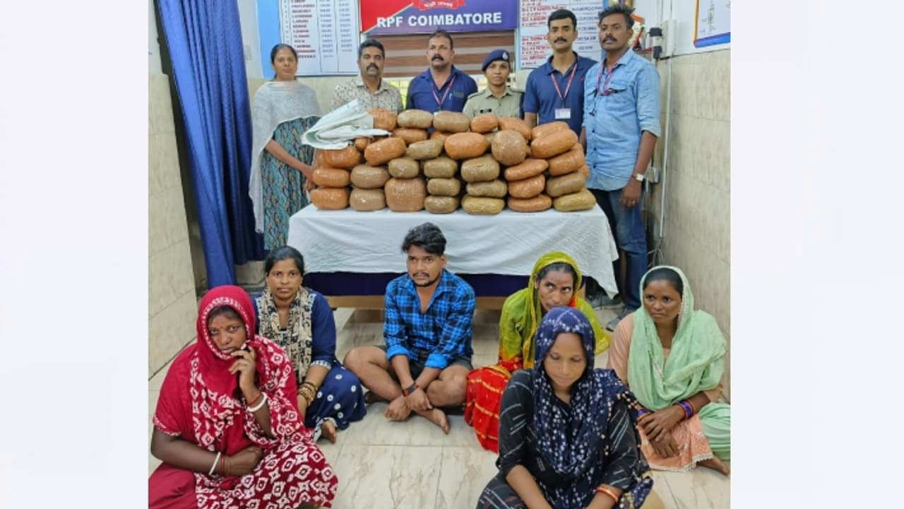 കേരളത്തിലേക്ക് വിൽപനക്കായി 65 കിലോ കഞ്ചാവ്; അഞ്ച് സ്ത്രീകളും ഒരു പുരുഷനും കോയമ്പത്തൂരിൽ പിടിയിൽ