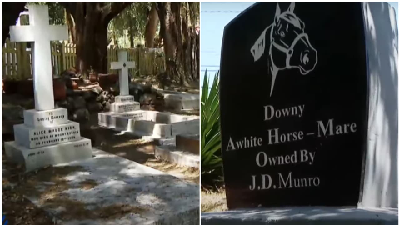 കുതിരയ്ക്ക് സ്മാരകമുള്ള ദേവാലയ സെമിത്തേരി എന്ന അപൂർവത, അന്തിയുറങ്ങുന്നത് 36 വിദേശികൾ; പള്ളിക്കുന്നിലെ പള്ളി കുതിരയ്ക്ക് സ്മാരകമുള്ള ദേവാലയ സെമിത്തേരി എന്ന അപൂർവത, അന്തിയുറങ്ങുന്നത് 36 വിദേശികൾ; പള്ളിക്കുന്നിലെ പള്ളി