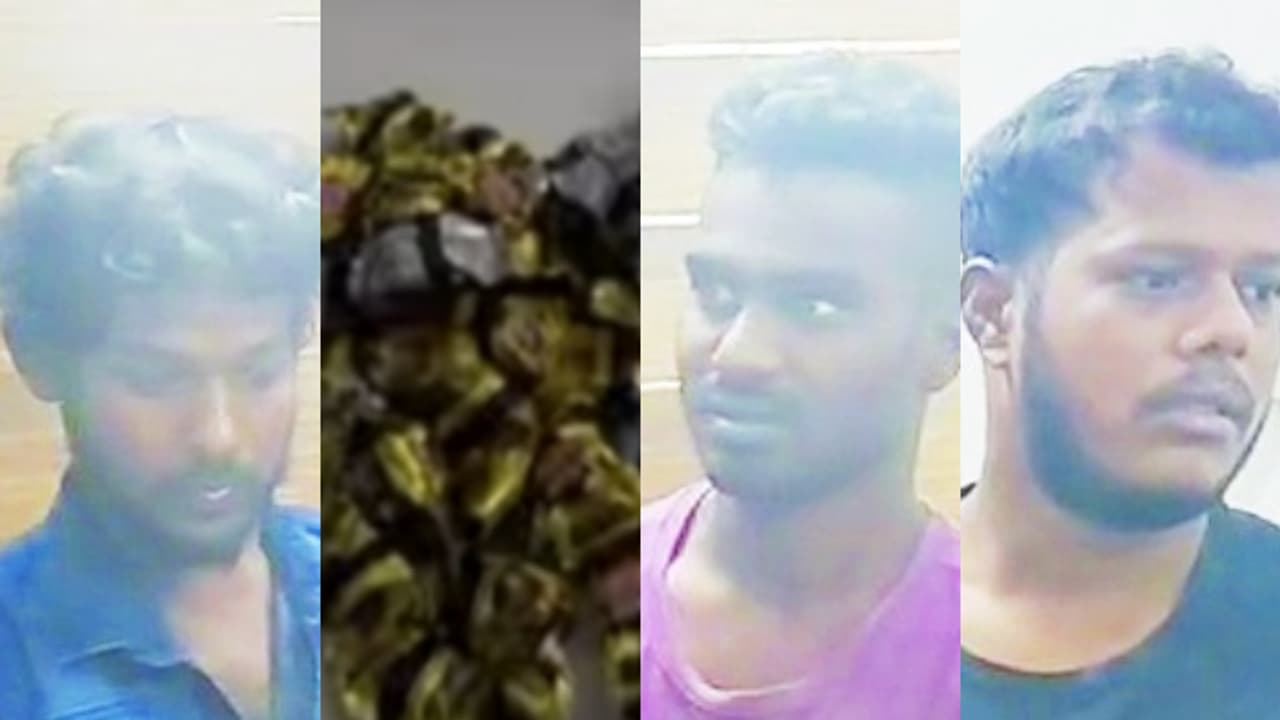 പാഴ്സലിൽ 'മിഠായി'യെന്ന് വിവരം, പൊലീസ് പരിശോധിച്ചപ്പോൾ ടെട്രാഹൈഡ്രോകന്നാബിനോള്‍ മിഠായി, മൂന്ന് പേർ അറസ്റ്റില്‍