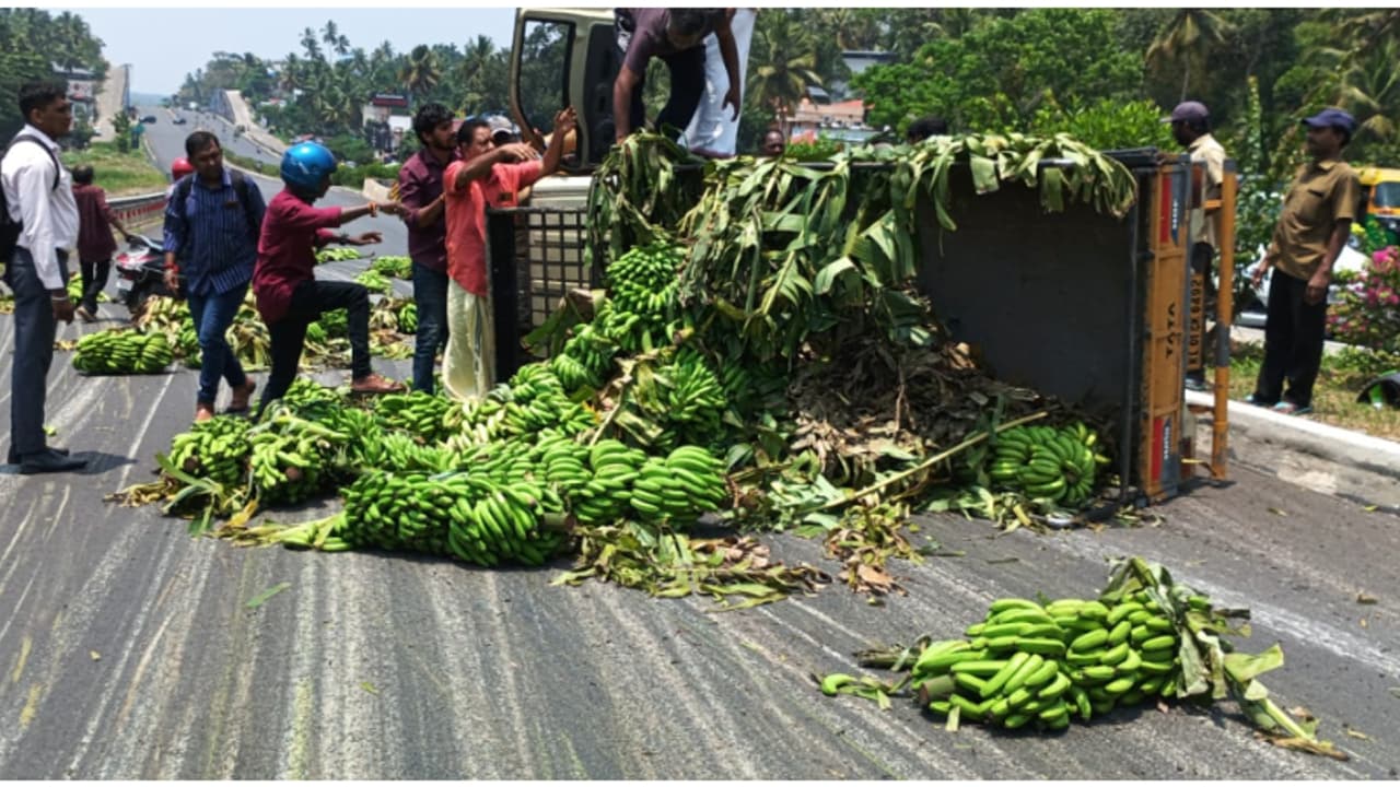 ലോറി കോവളം ബൈപ്പാസിൽ നിയന്ത്രണം വിട്ടു മറിഞ്ഞു, റോഡ് നിറയെ വാഴക്കുല തെറിച്ചുവീണു; ഏറെ നേരം ഗതാഗത കുരുക്കായി ലോറി കോവളം ബൈപ്പാസിൽ നിയന്ത്രണം വിട്ടു മറിഞ്ഞു, റോഡ് നിറയെ വാഴക്കുല തെറിച്ചുവീണു; ഏറെ നേരം ഗതാഗത കുരുക്കായി