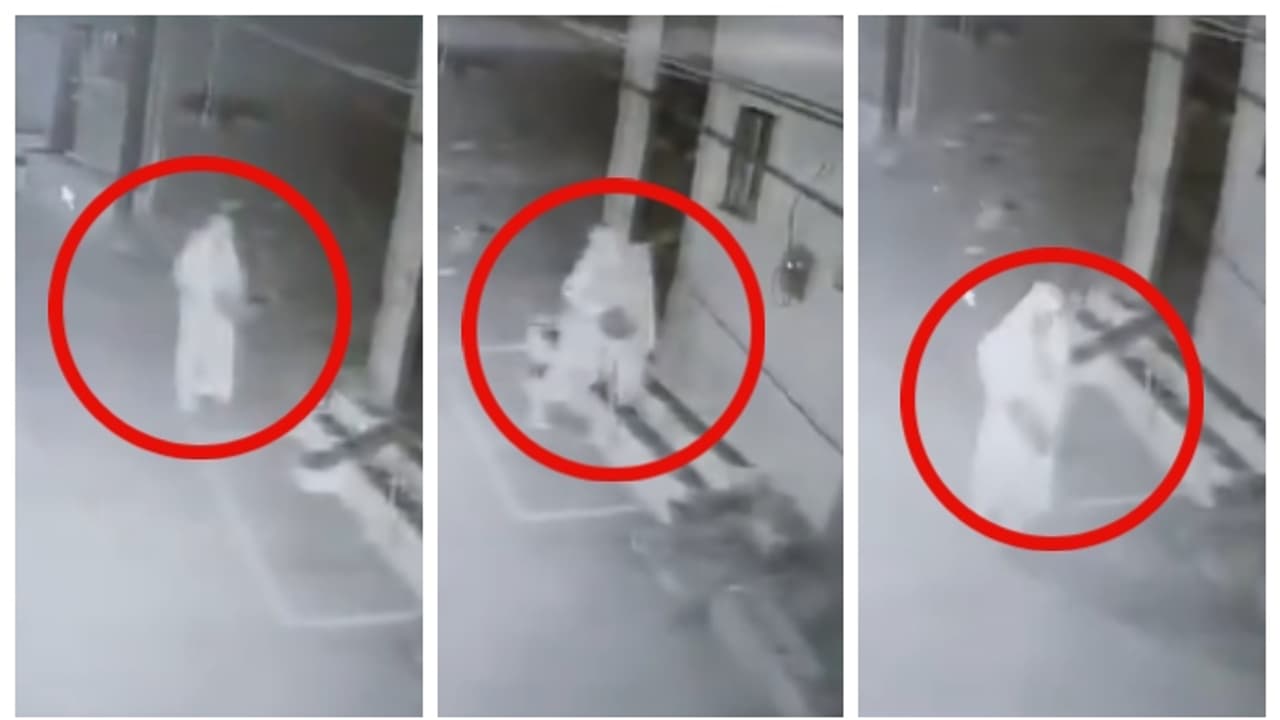 പാതിരാത്രി ഡോർബെൽ അടിച്ച് കടന്ന് പോകുന്ന സ്ത്രീയുടെ സിസിടിവി ദൃശ്യം വൈറൽ; അസ്വസ്ഥരായി നായ്ക്കളും പശുക്കളും