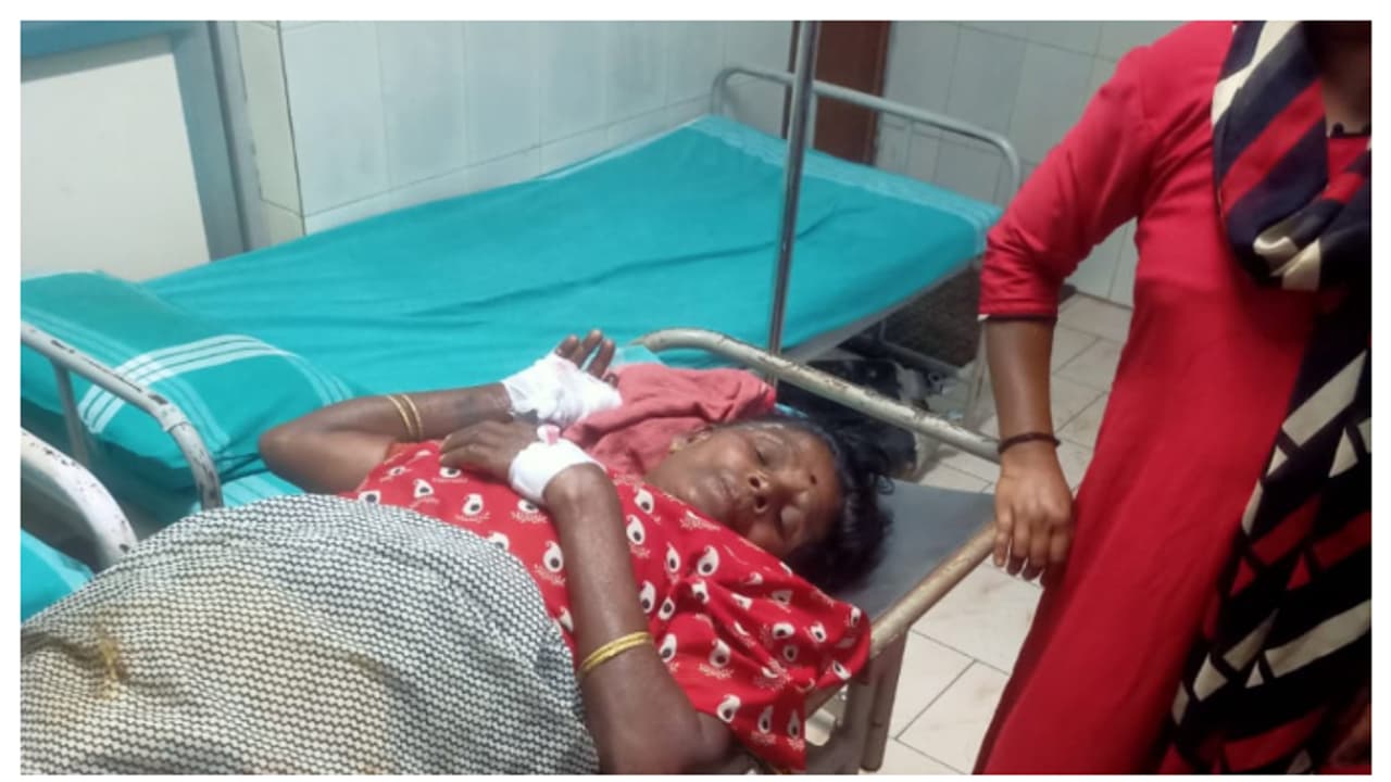 രാത്രി വീടിന് പുറത്തിറങ്ങി, ഇരുട്ടിൽ നിന്ന് കാട്ടുപന്നിയുടെ അപ്രതീക്ഷിത ആക്രമണം; സ്ത്രീക്ക് ഗുരുതര പരിക്ക്
