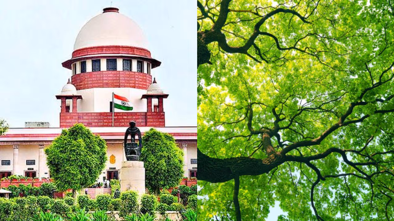 ഒരുപാട് മരങ്ങൾ മുറിക്കുന്നത് മനുഷ്യനെ കൊല്ലുന്നതിനേക്കാൾ പാപമെന്ന് സുപ്രീം കോടതി ഒരുപാട് മരങ്ങൾ മുറിക്കുന്നത് മനുഷ്യനെ കൊല്ലുന്നതിനേക്കാൾ പാപമെന്ന് സുപ്രീം കോടതി