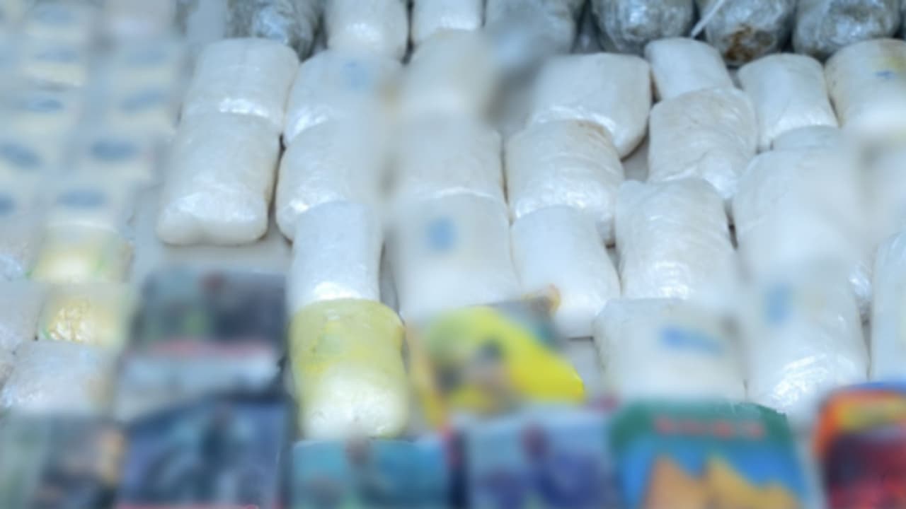 നായ്ക്കൾ മണത്തറിഞ്ഞു; ഷിപ്മെന്‍റിലൊളിപ്പിച്ച് കടത്താൻ ശ്രമിച്ചത് 150 കിലോ ലഹരിമരുന്ന്, പിടികൂടി ദുബൈ കസ്റ്റംസ്