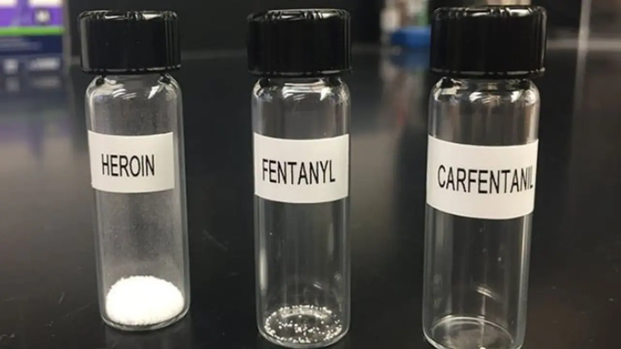 "State actors": US Annual Threat Assessment implicates China and India in illicit fentanyl production