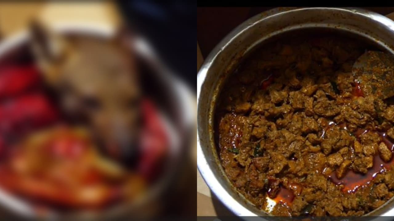 മലപ്പുറം തിരുവാലിയിൽ കുറുനരിയെ വേട്ടയാടി കൊന്നുകറിവെച്ചു; മുൻ കാപ്പ കേസ് പ്രതി അറസ്റ്റിൽ മലപ്പുറം തിരുവാലിയിൽ കുറുനരിയെ വേട്ടയാടി കൊന്നുകറിവെച്ചു; മുൻ കാപ്പ കേസ് പ്രതി അറസ്റ്റിൽ