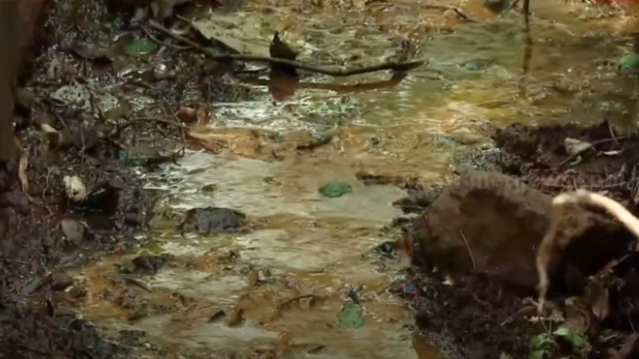  എംഎസ്പി ക്യാമ്പിലെ മലിന ജലം തോട്ടിലേക്ക് ഒഴുക്കി വിടുന്നെന്ന് പരാതി; നോട്ടീസ് നല്‍കുമെന്ന് നഗരസഭ