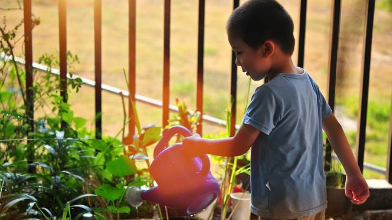 തോന്നും പോലെ നനയ്ക്കരുത്, ചെടികൾക്ക് വെള്ളം നൽകാനുമുണ്ട് നല്ലനേരം 
