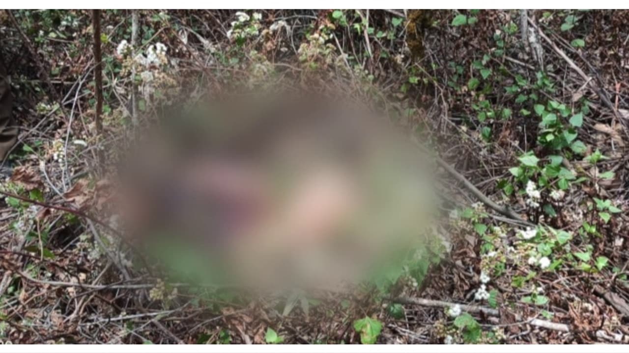 വിറക് ശേഖരിക്കാൻ കാട്ടിലേക്ക് പോയി യുവാവ്, തിരികെയെത്തിയില്ല, തിരഞ്ഞിറങ്ങിയവർ കണ്ടത് മൃതദേഹം വിറക് ശേഖരിക്കാൻ കാട്ടിലേക്ക് പോയി യുവാവ്, തിരികെയെത്തിയില്ല, തിരഞ്ഞിറങ്ങിയവർ കണ്ടത് മൃതദേഹം