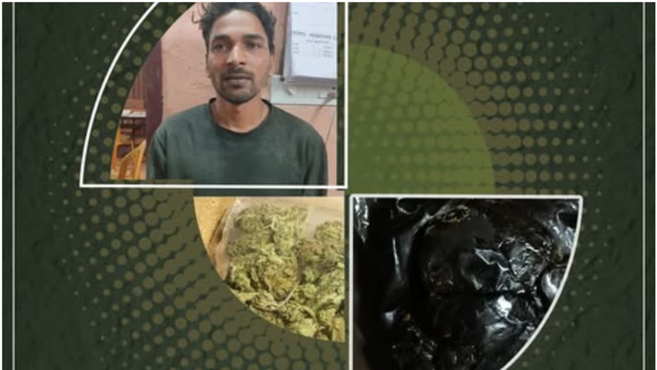 മാസങ്ങൾ നീണ്ട നിരീക്ഷണം; കാസർകോട് ഹാഷിഷും കഞ്ചാവുമായി യുവാവ് പിടിയിൽ മാസങ്ങൾ നീണ്ട നിരീക്ഷണം; കാസർകോട് ഹാഷിഷും കഞ്ചാവുമായി യുവാവ് പിടിയിൽ