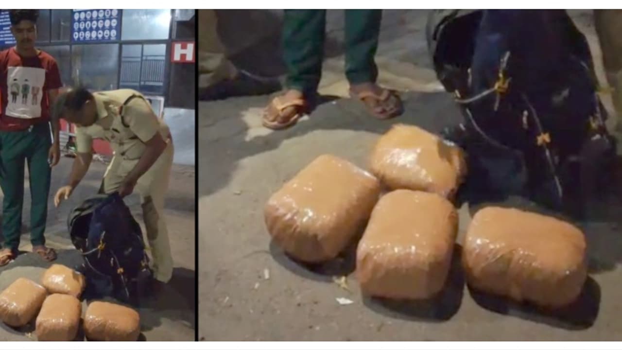 ബംഗാളിൽ നിന്ന് ട്രെയിനിൽ ആലുവയിലെത്തി, വീട്ടിലേക്ക് പോകുംവഴി എക്സൈസെത്തി, പിടിച്ചത് 7 കിലോ കഞ്ചാവ് ബംഗാളിൽ നിന്ന് ട്രെയിനിൽ ആലുവയിലെത്തി, വീട്ടിലേക്ക് പോകുംവഴി എക്സൈസെത്തി, പിടിച്ചത് 7 കിലോ കഞ്ചാവ്