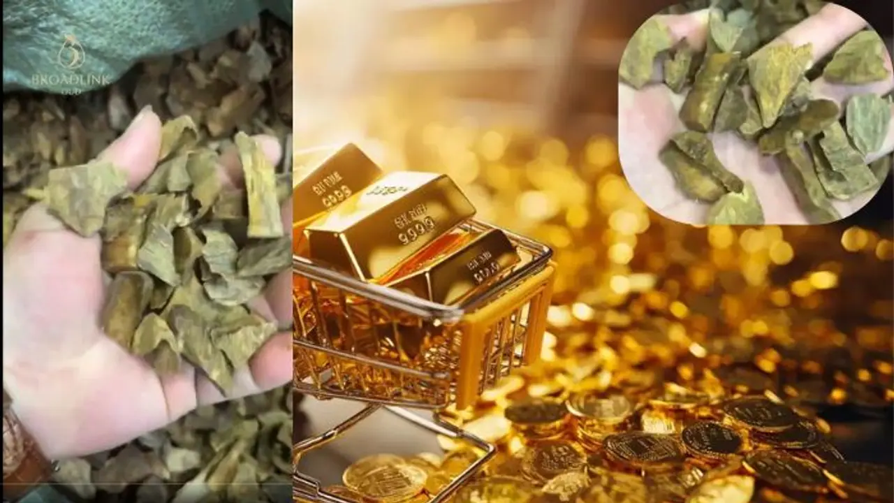 ಕೇವಲ 10 ಗ್ರಾಂ ಮರದ ತುಂಡಿಗೆ 1 ಕೆಜಿ ಚಿನ್ನದ ಬೆಲೆ! ಭಾರತದಲ್ಲೂ ಬೆಳೆಯುತ್ತೆ ಈ ಮರ!