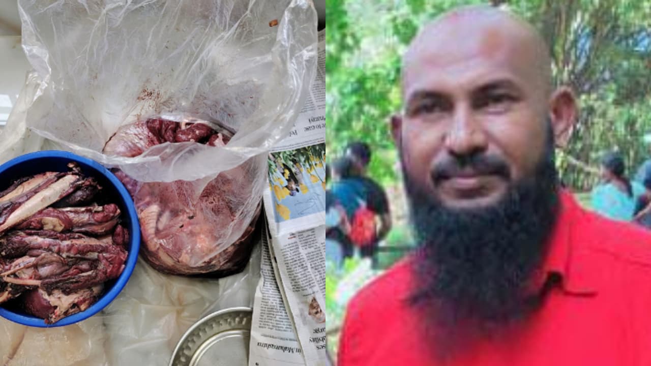 വേട്ടയാടിപ്പിടിച്ച മാനിന്റെ ഇറച്ചി വിൽപനയ്ക്ക് പാക്ക് ചെയ്ത നിലയിൽ, മലപ്പുറത്ത് പാമ്പുപിടുത്തക്കാരൻ പിടിയിൽ വേട്ടയാടിപ്പിടിച്ച മാനിന്റെ ഇറച്ചി വിൽപനയ്ക്ക് പാക്ക് ചെയ്ത നിലയിൽ, മലപ്പുറത്ത് പാമ്പുപിടുത്തക്കാരൻ പിടിയിൽ