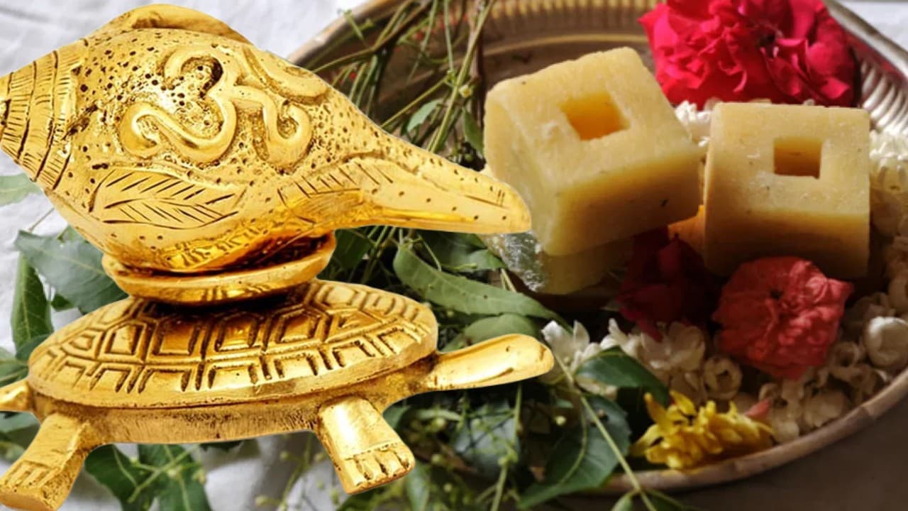 ಯುಗಾದಿ ದಿನ ಈ ವಸ್ತುಗಳನ್ನು ಮನೆಗೆ ತನ್ನಿ, ಅದೃಷ್ಟ ನಿಮ್ಮದಾಗುತ್ತದೆ!