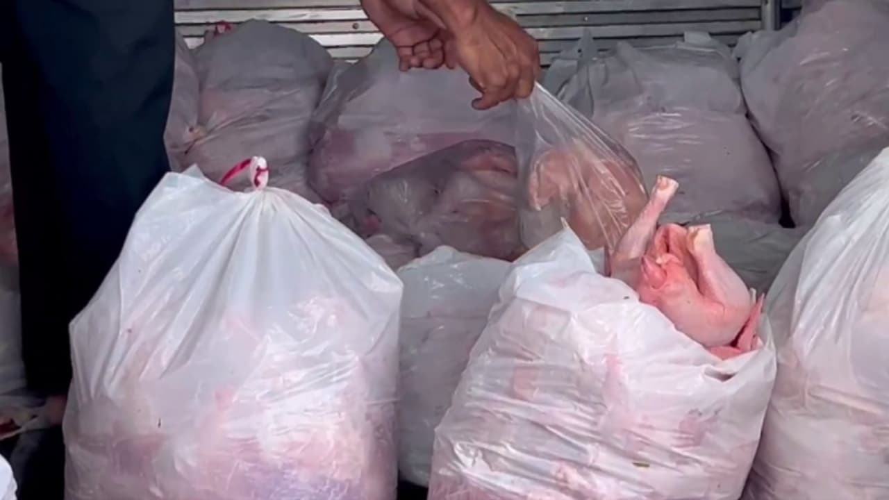 നിർത്തിയിട്ട വാഹനത്തിൽ നിന്ന് രൂക്ഷ ഗന്ധം, പരിശോധനയിൽ കണ്ടെത്തിയത് കിലോ കണക്കിന് പഴകിയ ഇറച്ചി നിർത്തിയിട്ട വാഹനത്തിൽ നിന്ന് രൂക്ഷ ഗന്ധം, പരിശോധനയിൽ കണ്ടെത്തിയത് കിലോ കണക്കിന് പഴകിയ ഇറച്ചി