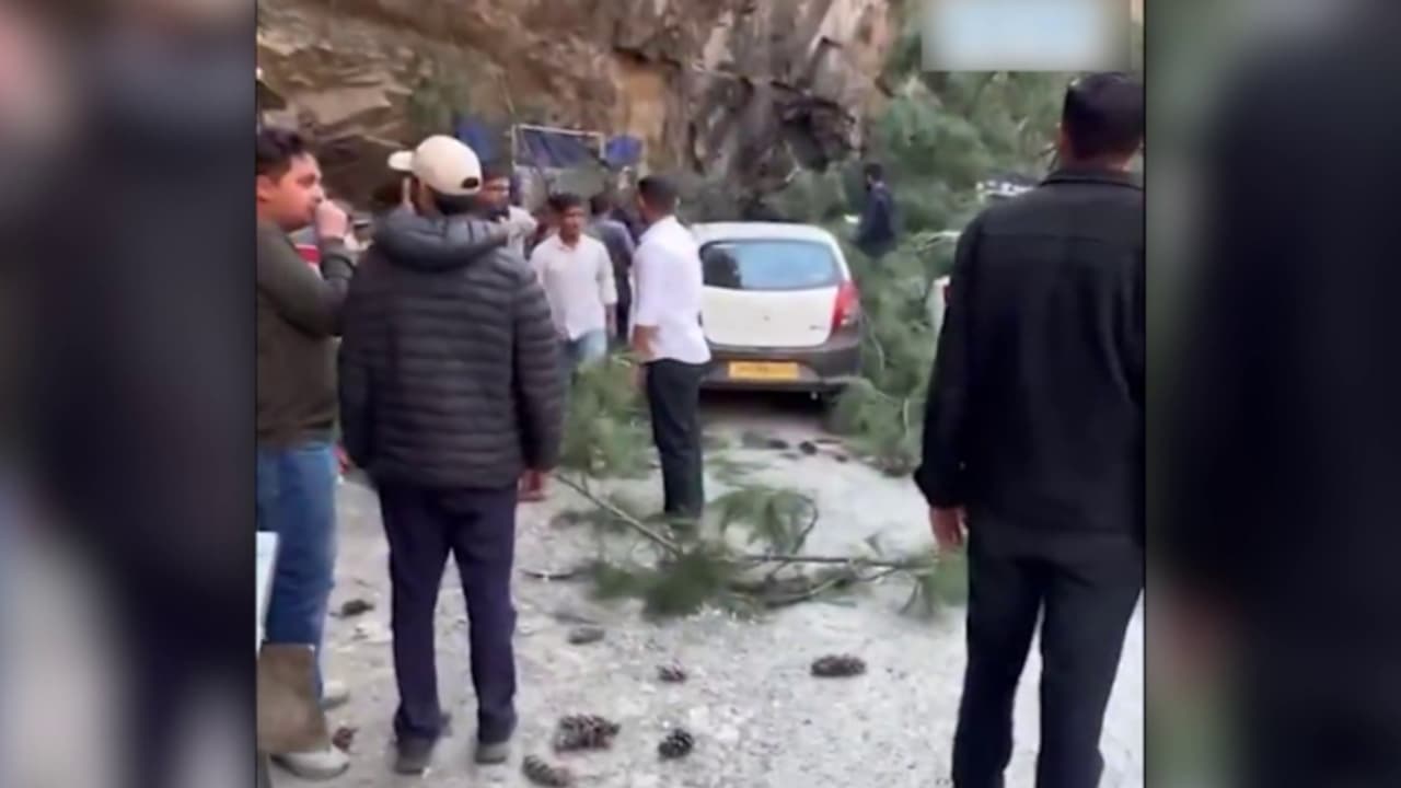 ഹിമാചൽ പ്രദേശിൽ മണ്ണിടിച്ചിൽ; മരങ്ങൾ കടപുഴകി വാഹനങ്ങൾക്ക് മേലെ വീണു; 6 പേർ കൊല്ലപ്പെട്ടു ഹിമാചൽ പ്രദേശിൽ മണ്ണിടിച്ചിൽ; മരങ്ങൾ കടപുഴകി വാഹനങ്ങൾക്ക് മേലെ വീണു; 6 പേർ കൊല്ലപ്പെട്ടു