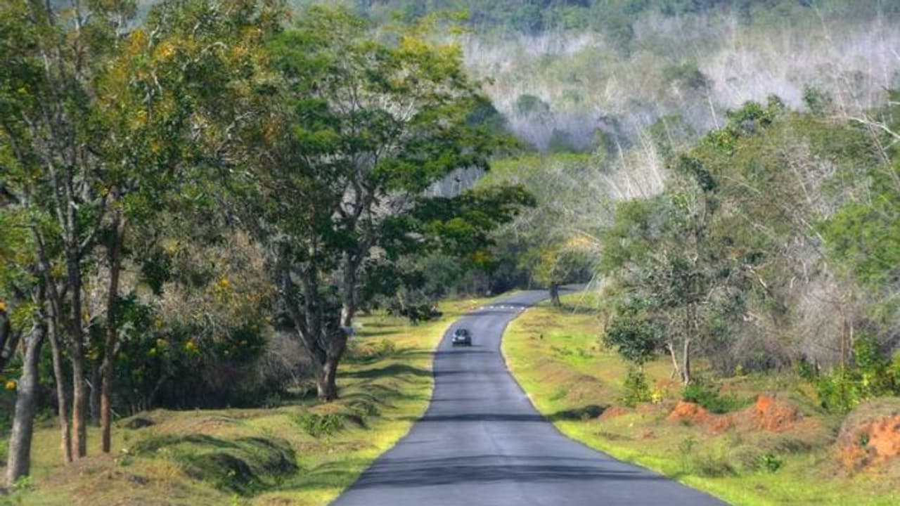 famous national parks of india famous national parks of india