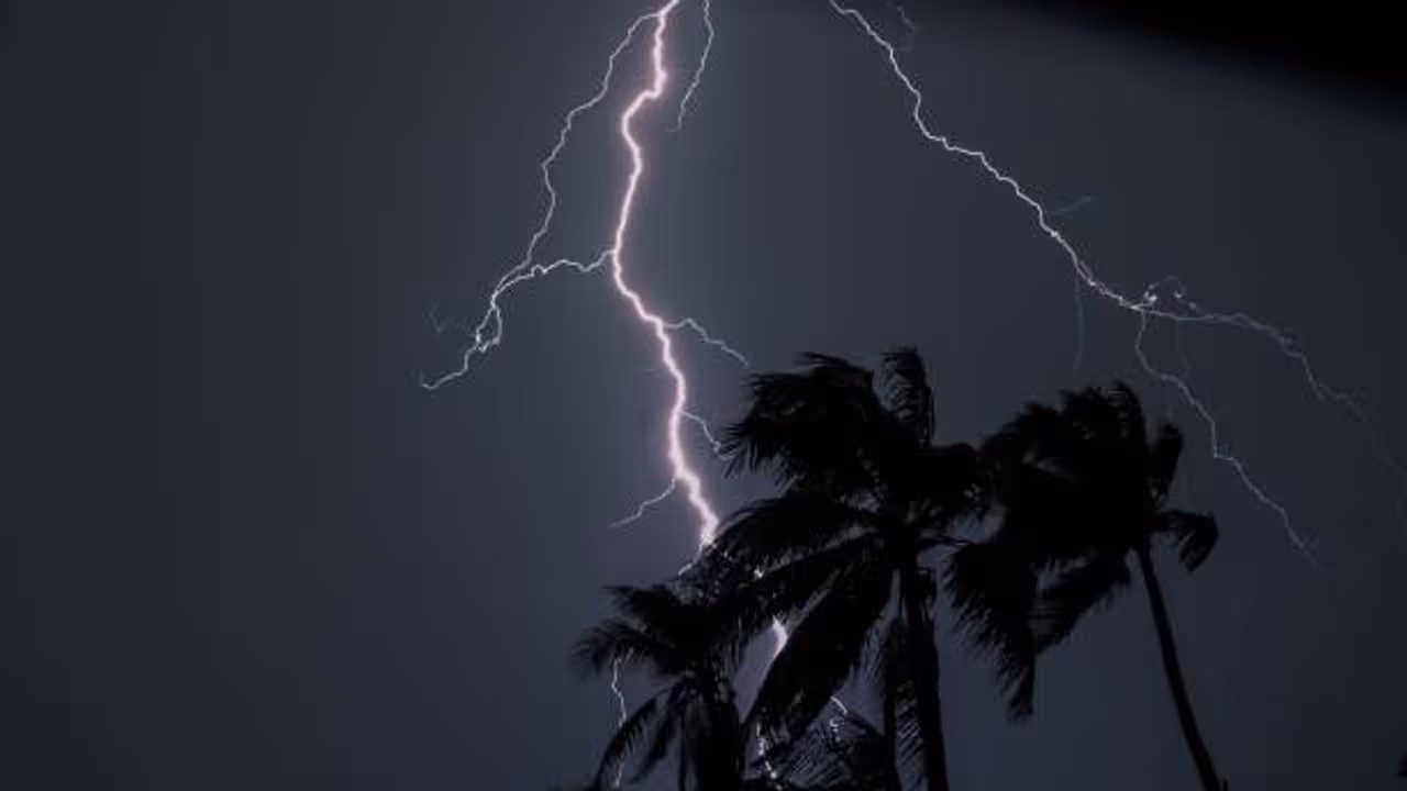 Kerala to receive summer rains for 5 days from today, yellow alerts issued for multiple districts