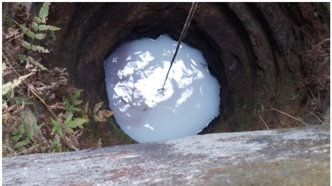 കോന്നി അതുമ്പുംകുളത്ത് കിണറ്റിലെ വെള്ളത്തിന് പാൽ നിറം!