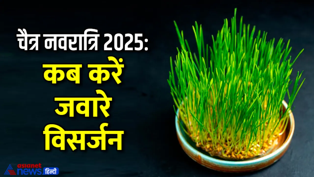 jaware visarjan