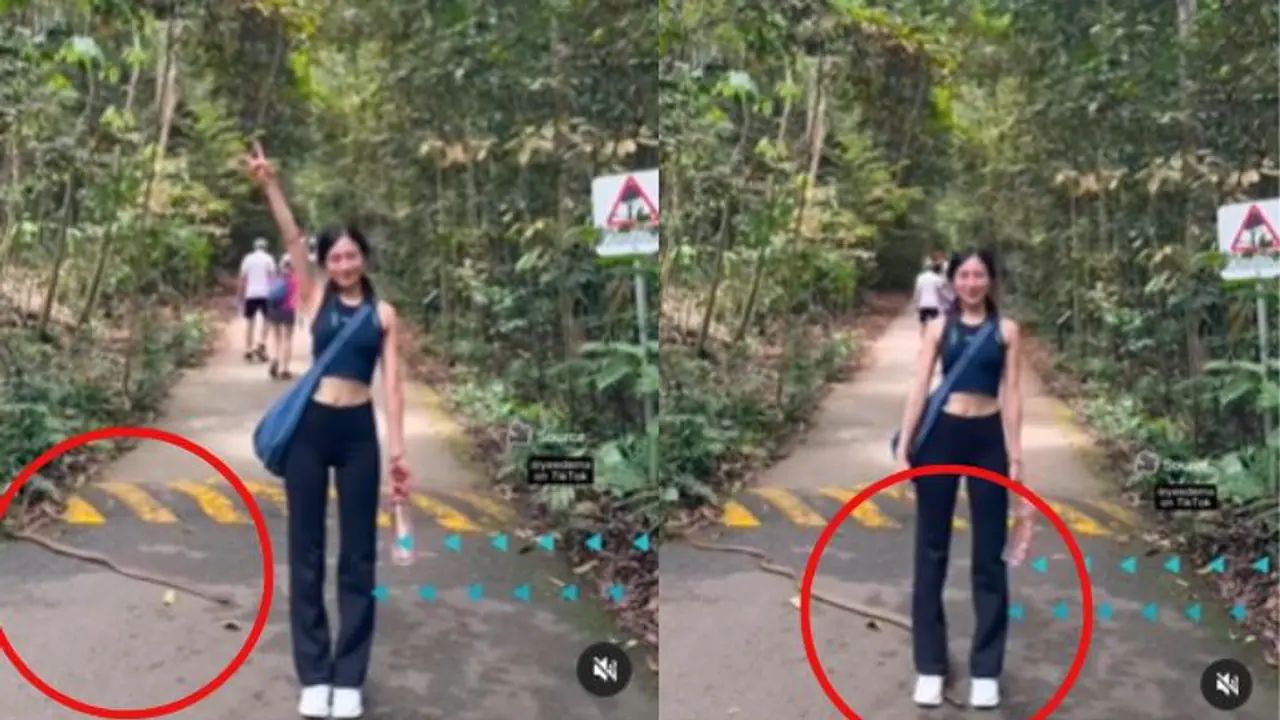 ಮೈಮರೆತು ರೀಲ್ಸ್ ಮಾಡ್ತಿದ್ದ ಯುವತಿಯ ಕಾಲಿನ ನಡುವೆ ಬಂದ 8 ಅಡಿ ಉದ್ದದ ನಾಗರಹಾವು! ಮುಂದೇನಾಯ್ತು?