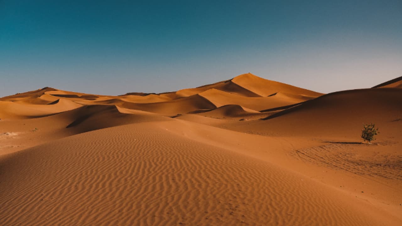 മരിച്ചെന്ന് ഉറപ്പാക്കാൻ വാഹനം കയറ്റി, മൃതദേഹം മരുഭൂമിയിൽ തള്ളി, ഭാര്യയെ കൊലപ്പെടുത്തിയ കുവൈത്തി അറസ്റ്റിൽ മരിച്ചെന്ന് ഉറപ്പാക്കാൻ വാഹനം കയറ്റി, മൃതദേഹം മരുഭൂമിയിൽ തള്ളി, ഭാര്യയെ കൊലപ്പെടുത്തിയ കുവൈത്തി അറസ്റ്റിൽ