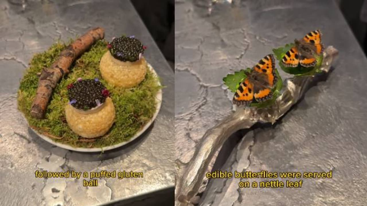 ചിത്രശലഭങ്ങൾ, ജെല്ലി ഫിഷ്, കൂട്ടിൽ വിളമ്പുന്ന കോഴിക്കാല്; അതിവിചിത്രമായ മെനുവുമായി റെസ്റ്റോറന്റ്