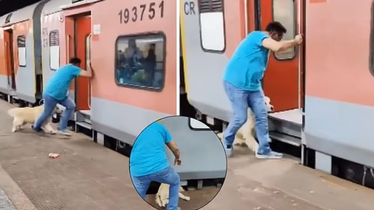Viral Video: ಚಲಿಸುತ್ತಿದ್ದ ಟ್ರೇನ್ಗೆ ಶ್ವಾನವನ್ನು ಹತ್ತಿಸುವ ಪ್ರಯತ್ನ, ರೈಲು ಚಕ್ರದಡಿ ಸಿಕ್ಕಿಬಿದ್ದ ನಾಯಿ! Viral Video: ಚಲಿಸುತ್ತಿದ್ದ ಟ್ರೇನ್ಗೆ ಶ್ವಾನವನ್ನು ಹತ್ತಿಸುವ ಪ್ರಯತ್ನ, ರೈಲು ಚಕ್ರದಡಿ ಸಿಕ್ಕಿಬಿದ್ದ ನಾಯಿ!