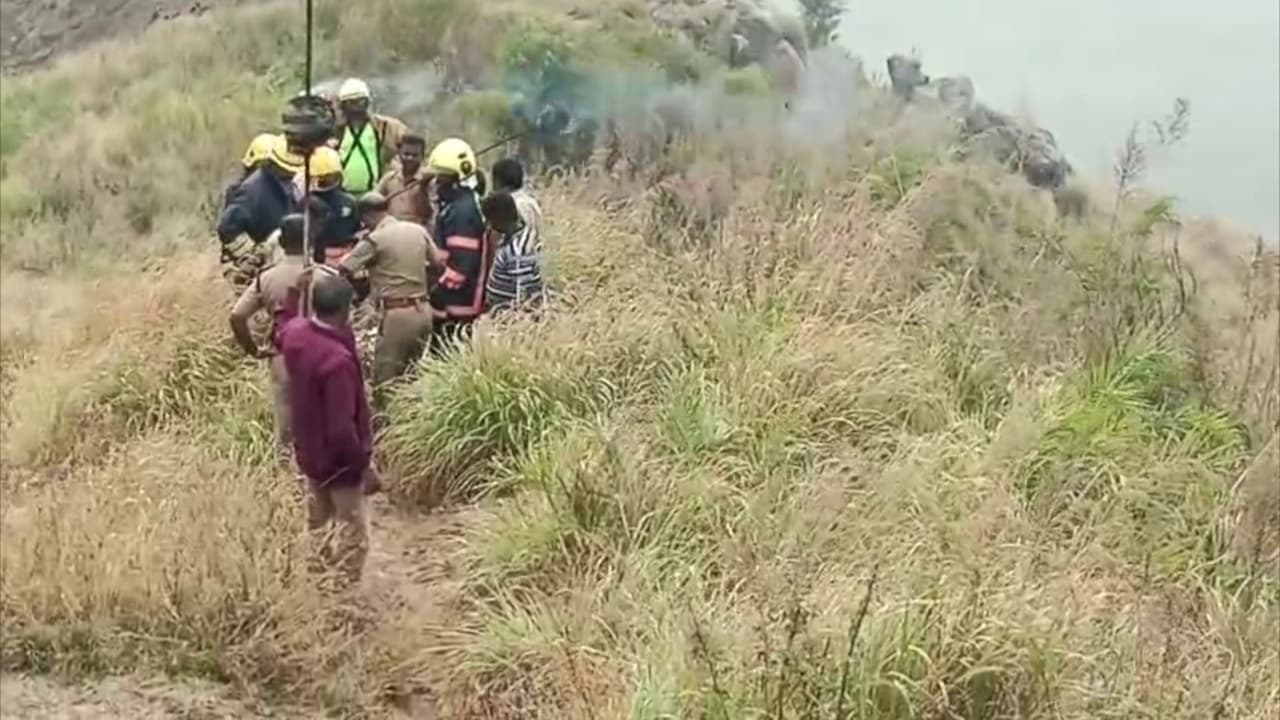 പെരുന്നാൾ ആഘോഷിക്കാൻ വിനോദയാത്ര പോയ മലയാളി സംഘത്തിന് കടന്നലാക്രമണം, ഒരാൾ മരിച്ചു, 2 പേര്ക്ക് പരിക്ക് പെരുന്നാൾ ആഘോഷിക്കാൻ വിനോദയാത്ര പോയ മലയാളി സംഘത്തിന് കടന്നലാക്രമണം, ഒരാൾ മരിച്ചു, 2 പേര്ക്ക് പരിക്ക്