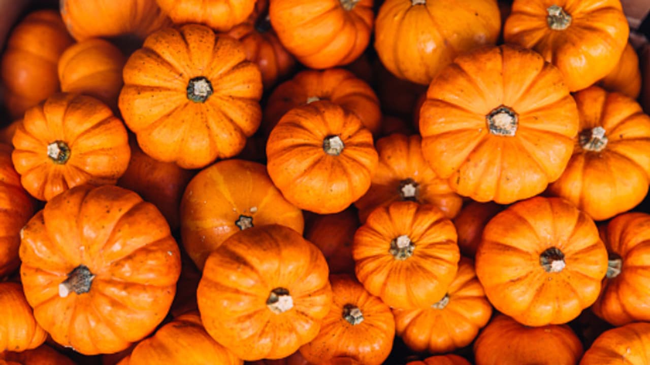 ഡയറ്റില്‍ മത്തങ്ങ ഉള്‍പ്പെടുത്തൂ; അറിയാം ആരോഗ്യ ഗുണങ്ങള്‍