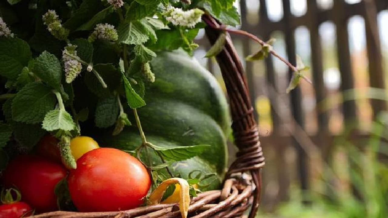 പഴങ്ങളും പച്ചക്കറികളും നടാൻ മുറ്റമില്ലേ? ബാൽക്കണിയുണ്ടോ, മതി പഴങ്ങളും പച്ചക്കറികളും നടാൻ മുറ്റമില്ലേ? ബാൽക്കണിയുണ്ടോ, മതി