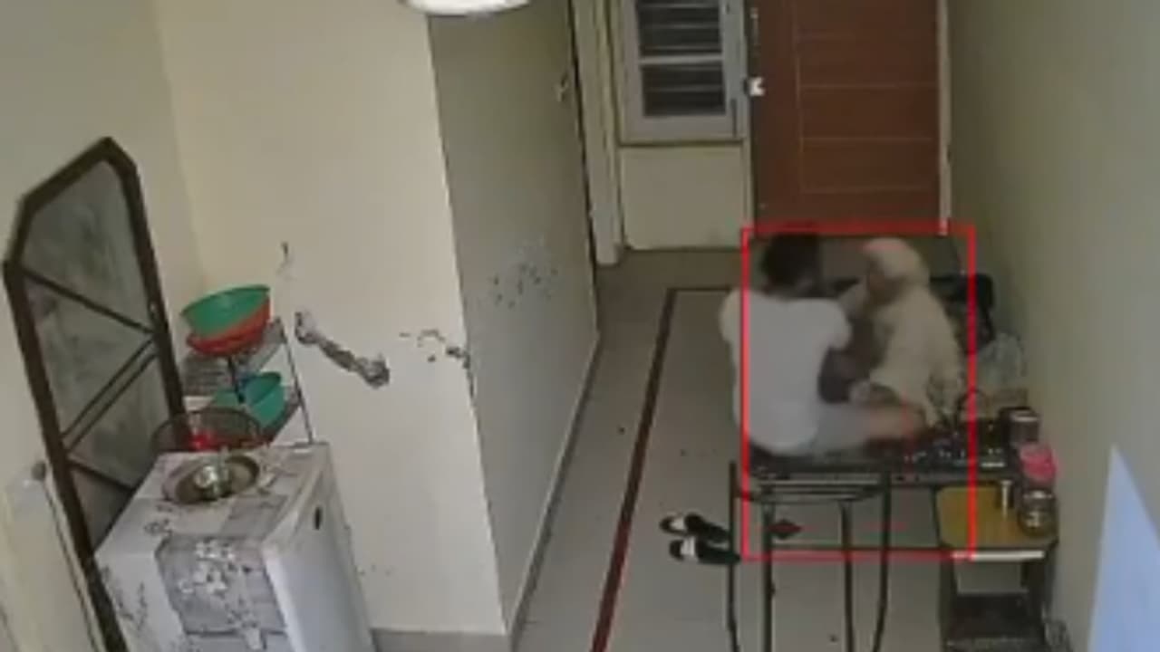 ഓസ്ട്രേലിയയിലുള്ള മകൾ കണ്ടത് അമ്മയെ വലിച്ചിഴയ്ക്കുന്നത്; സഹോദരന്റെ ക്രൂരത വെളിപ്പെടുത്തി യുവതിയുടെ ഇടപെടൽ ഓസ്ട്രേലിയയിലുള്ള മകൾ കണ്ടത് അമ്മയെ വലിച്ചിഴയ്ക്കുന്നത്; സഹോദരന്റെ ക്രൂരത വെളിപ്പെടുത്തി യുവതിയുടെ ഇടപെടൽ