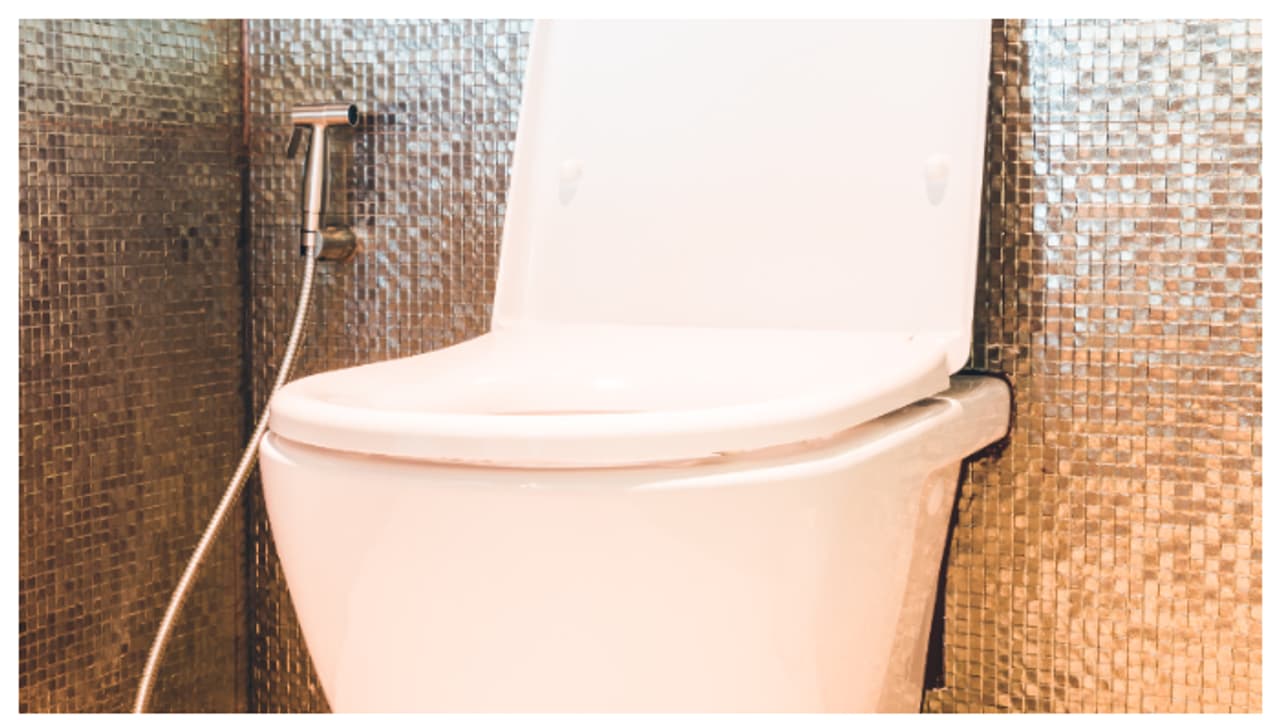 എന്തിനാണ് ടോയ്‌ലറ്റ് ഫ്ലഷിൽ രണ്ട് ബട്ടൺ കൊടുത്തിരിക്കുന്നത്; നിങ്ങൾക്കറിയാമോ?