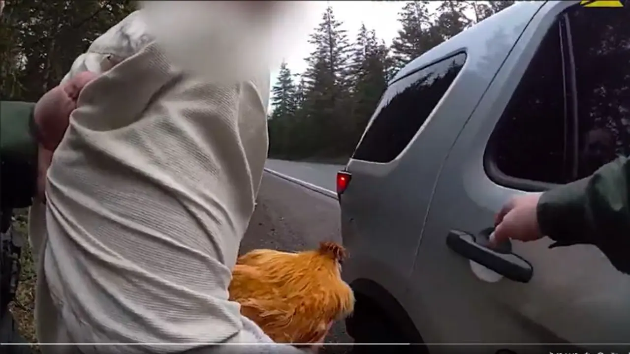  ಎಕ್ಸ್‌ಗರ್ಲ್‌ಫ್ರೆಂಡ್ ಮನೆಯಿಂದ ಕೋಳಿ ಕದ್ದವನ ಗನ್ ತೋರಿಸಿ ಬಂಧಿಸಿದ ಪೊಲೀಸರು: ವೀಡಿಯೋ ವೈರಲ್