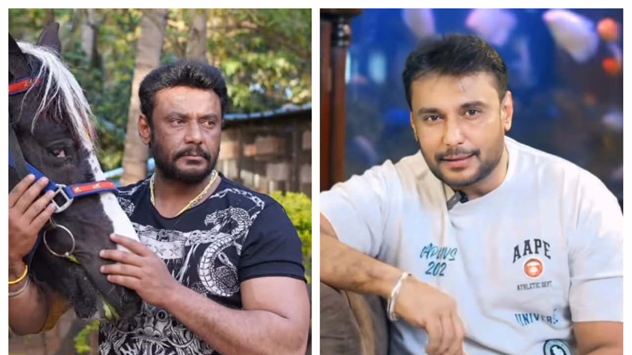 ಜೈಪುರದಿಂದ ವಾಪಸ್ಸಾದ ದರ್ಶನ್: ಏನಾಯ್ತು ಬೆನ್ನು ನೋವು?..ಯಾಕೆ ರಾಮ್ ಲಕ್ಷ್ಮಣ್ಗೆ ಕಾಯ್ತಿದಾರೆ! ಜೈಪುರದಿಂದ ವಾಪಸ್ಸಾದ ದರ್ಶನ್: ಏನಾಯ್ತು ಬೆನ್ನು ನೋವು?..ಯಾಕೆ ರಾಮ್ ಲಕ್ಷ್ಮಣ್ಗೆ ಕಾಯ್ತಿದಾರೆ!