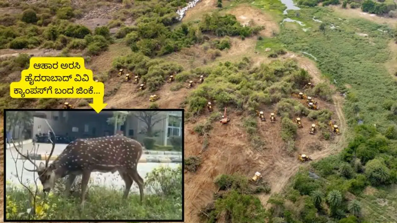 Viral Video: 400 ಎಕರೆ ಗುಳುಂ ಮಾಡಲು ಮುಂದಾದ ಕಾಂಗ್ರೆಸ್ ಸರ್ಕಾರ, ಪ್ರಾಣಿ ಪಕ್ಷಿಗಳ ಆರ್ತನಾದ ಕೇಳಿ ಮರುಗಿದ ಜನ! Viral Video: 400 ಎಕರೆ ಗುಳುಂ ಮಾಡಲು ಮುಂದಾದ ಕಾಂಗ್ರೆಸ್ ಸರ್ಕಾರ, ಪ್ರಾಣಿ ಪಕ್ಷಿಗಳ ಆರ್ತನಾದ ಕೇಳಿ ಮರುಗಿದ ಜನ!