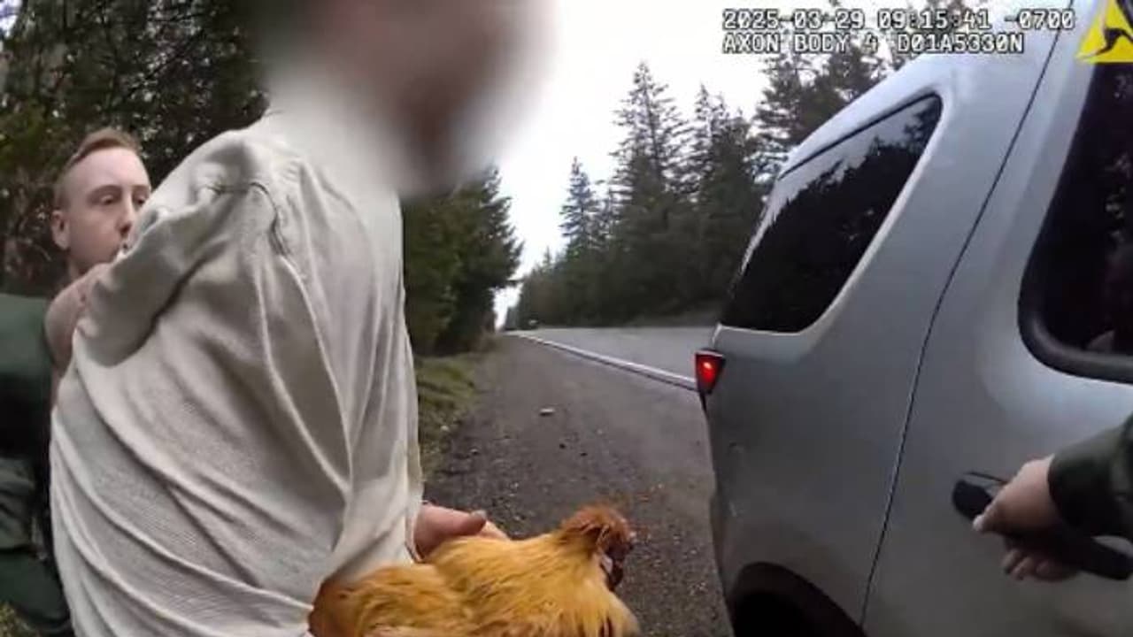 മുൻകാമുകിയുടെ കോഴിയെ മോഷ്ടിച്ചു, കെട്ടിപ്പിടിച്ച് കുറ്റിക്കാട്ടിലിരുന്ന് കരഞ്ഞു, യുവാവിനെ പിടികൂടി പൊലീസ് മുൻകാമുകിയുടെ കോഴിയെ മോഷ്ടിച്ചു, കെട്ടിപ്പിടിച്ച് കുറ്റിക്കാട്ടിലിരുന്ന് കരഞ്ഞു, യുവാവിനെ പിടികൂടി പൊലീസ്