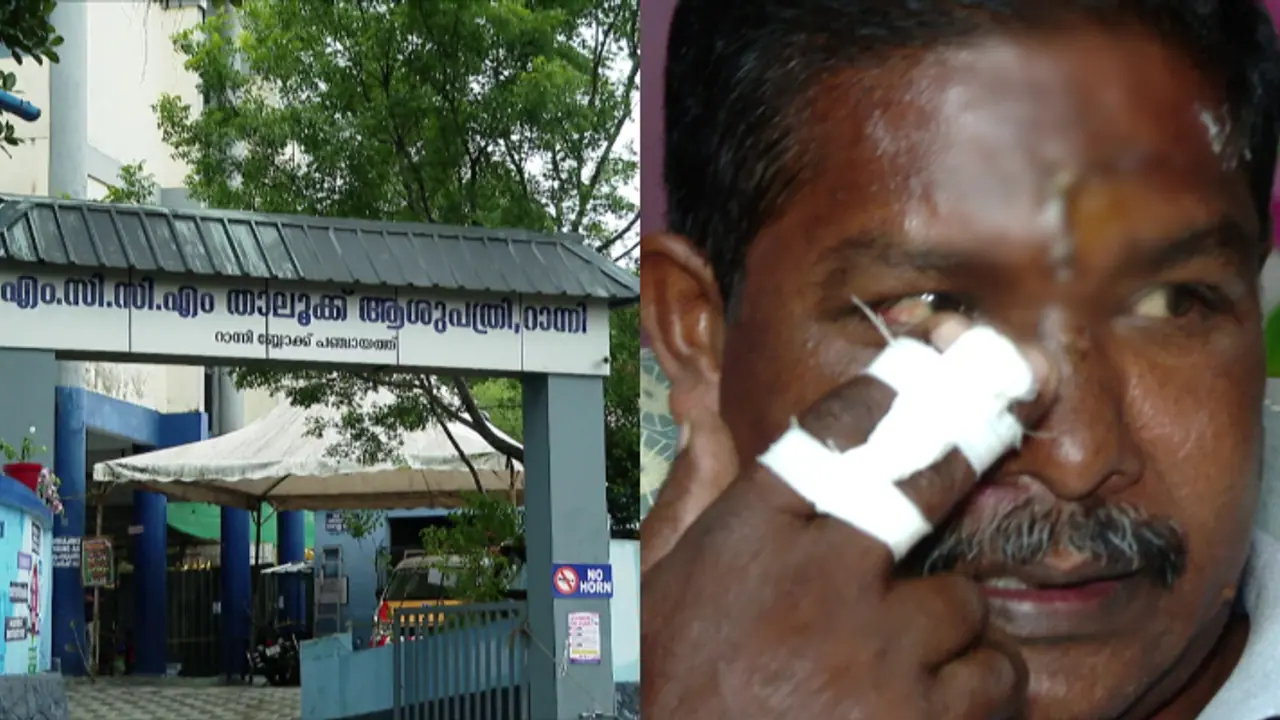 Kerala: Ants found in head wound after stitching, patient alleges medical negligence at govt hospital in Ranni Kerala: Ants found in head wound after stitching, patient alleges medical negligence at govt hospital in Ranni