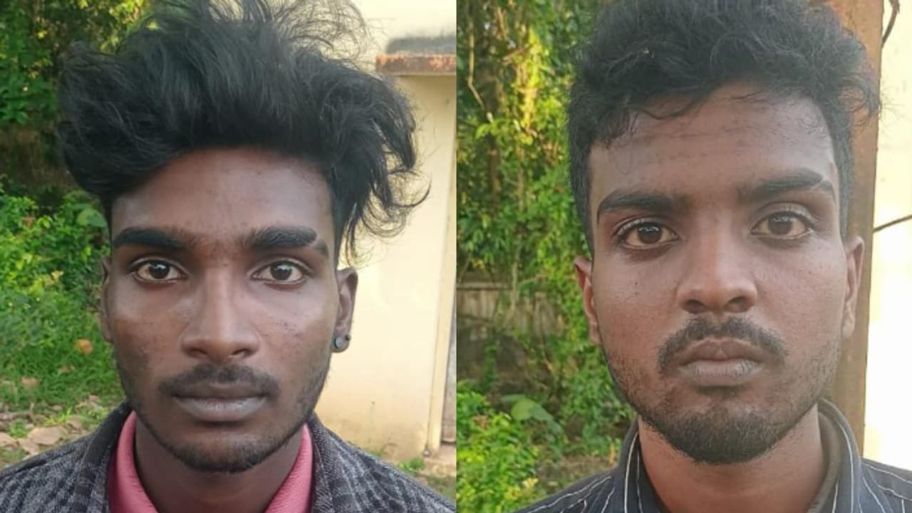 ഉത്സവ സീസണിൽ രഹസ്യമായി എത്തിക്കുമെന്ന് വിവരം; കായംകുളം റെയിൽവേ സ്റ്റേഷൻ റോഡിൽ 19 ഗ്രാം എംഡിഎംഎ പിടിച്ചെടുത്തു