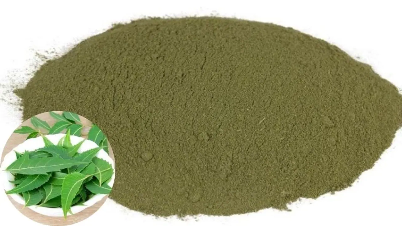 ಮನೆಯಲ್ಲೇ ಕುಳಿತು ಬೇವಿನ ಪೌಡರ್ ಮಾರಿ ಲಕ್ಷಾಂತರ ಗಳಿಸಿ ಮನೆಯಲ್ಲೇ ಕುಳಿತು ಬೇವಿನ ಪೌಡರ್ ಮಾರಿ ಲಕ್ಷಾಂತರ ಗಳಿಸಿ