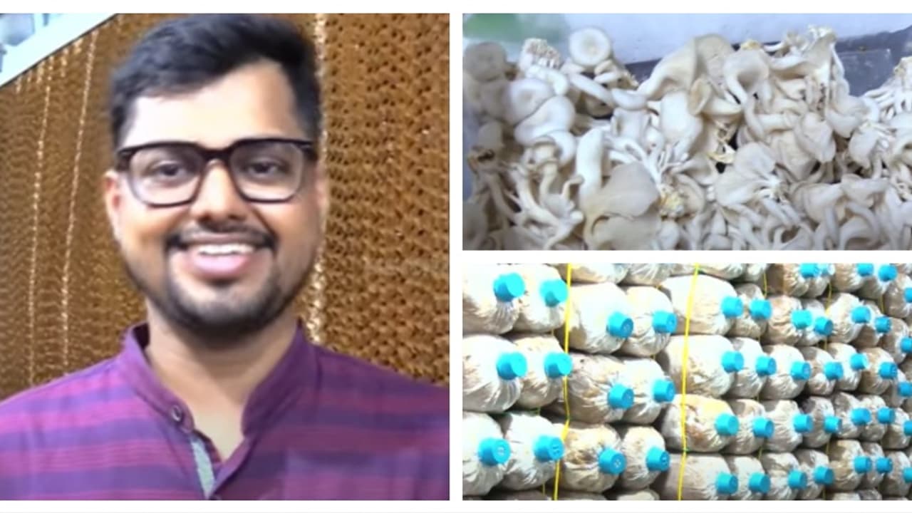 വിജയം നൂറുമേനി! അമേരിക്കയിലെ പിഎച്ച്ഡി വേണ്ടെന്ന് വെച്ച് സച്ചിൻ; ബോട്ടിൽ ടെക്നോളജിയിൽ ഹൈടെക് കൂൺ കൃഷി വിജയം നൂറുമേനി! അമേരിക്കയിലെ പിഎച്ച്ഡി വേണ്ടെന്ന് വെച്ച് സച്ചിൻ; ബോട്ടിൽ ടെക്നോളജിയിൽ ഹൈടെക് കൂൺ കൃഷി