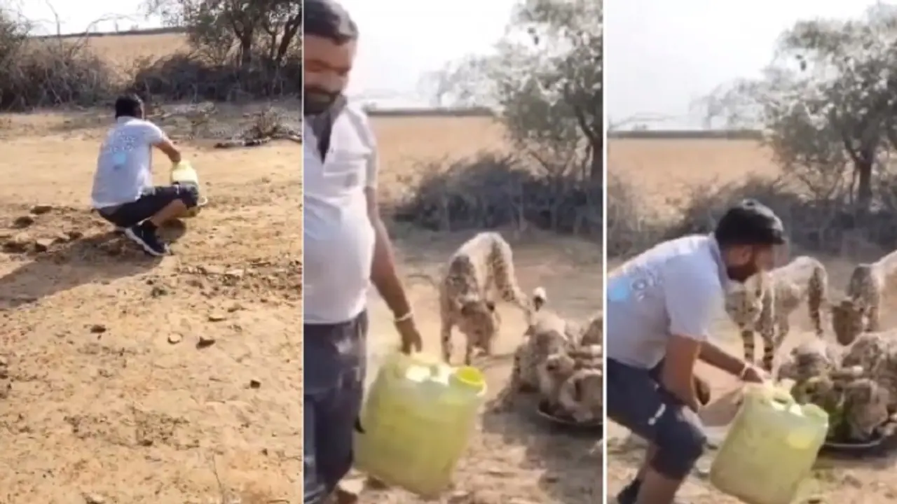 kuno national park kuno national park