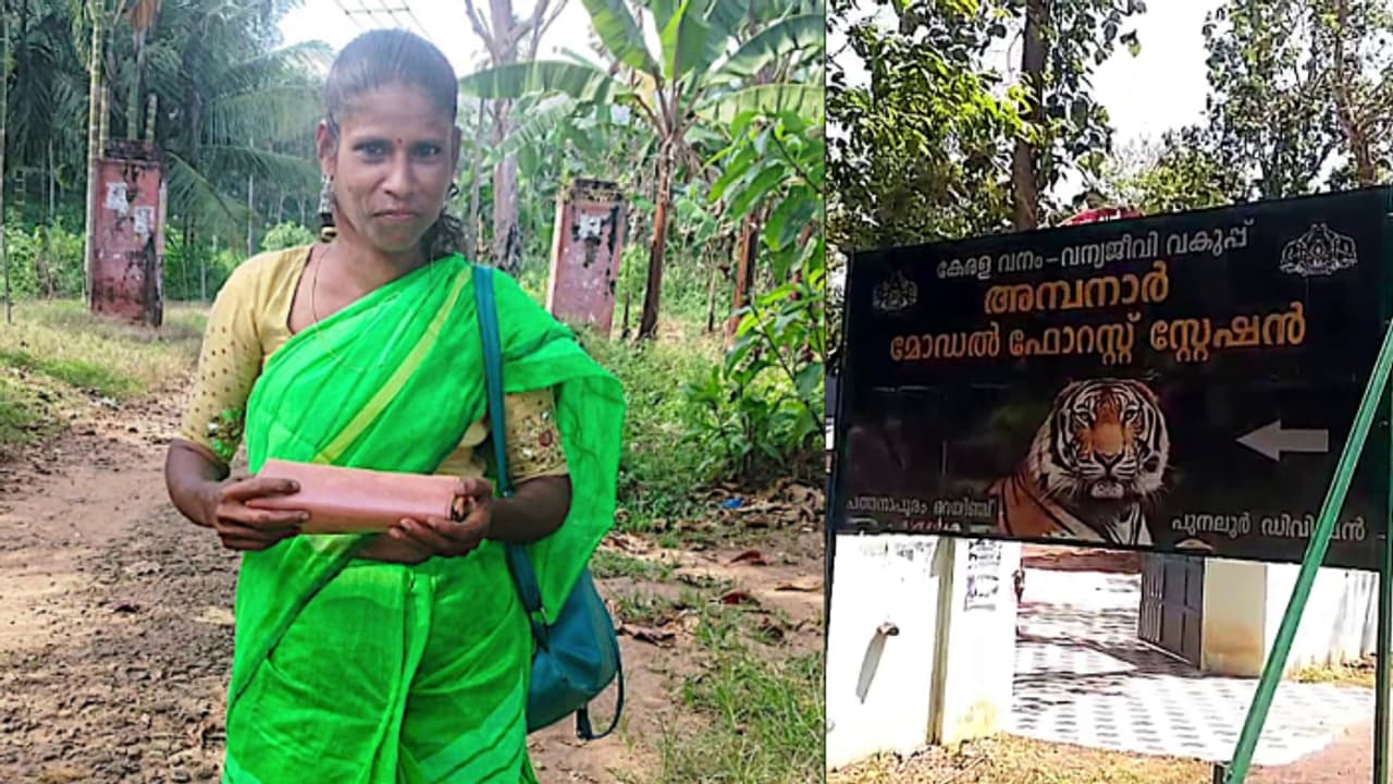 കൊല്ലത്ത് ആദിവാസി യുവതി വനത്തിൽ മരിച്ച നിലയിൽ, ആൺസുഹൃത്ത് പൊലീസ് കസ്റ്റഡിയിൽ