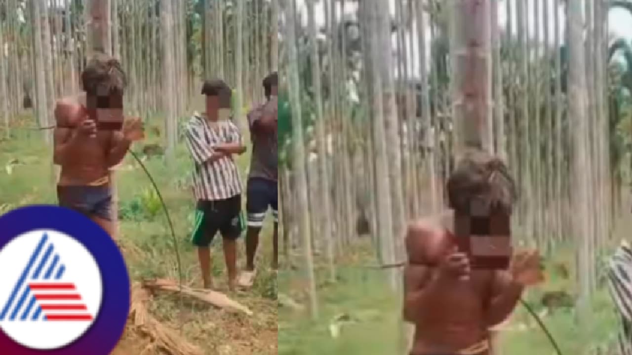 ದಾವಣಗೆರೆ: ಹಕ್ಕಿಪಿಕ್ಕಿ ಬಾಲಕನ ಮರಕ್ಕೆ ಕಟ್ಟಿ ಇರುವೆ ಬಿಟ್ಟು ಚಿತ್ರಹಿಂಸೆ! ವಿಕೃತಿ ವಿಡಿಯೋ ವೈರಲ್!