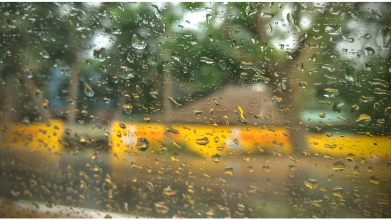 7 ജില്ലകളിൽ യെല്ലോ അലർട്ട്, ഇന്ന് എല്ലാ ജില്ലകളിലും മഴ പെയ്തേക്കും; ഇടിമിന്നലിനും ശക്തമായ കാറ്റിനും സാധ്യത