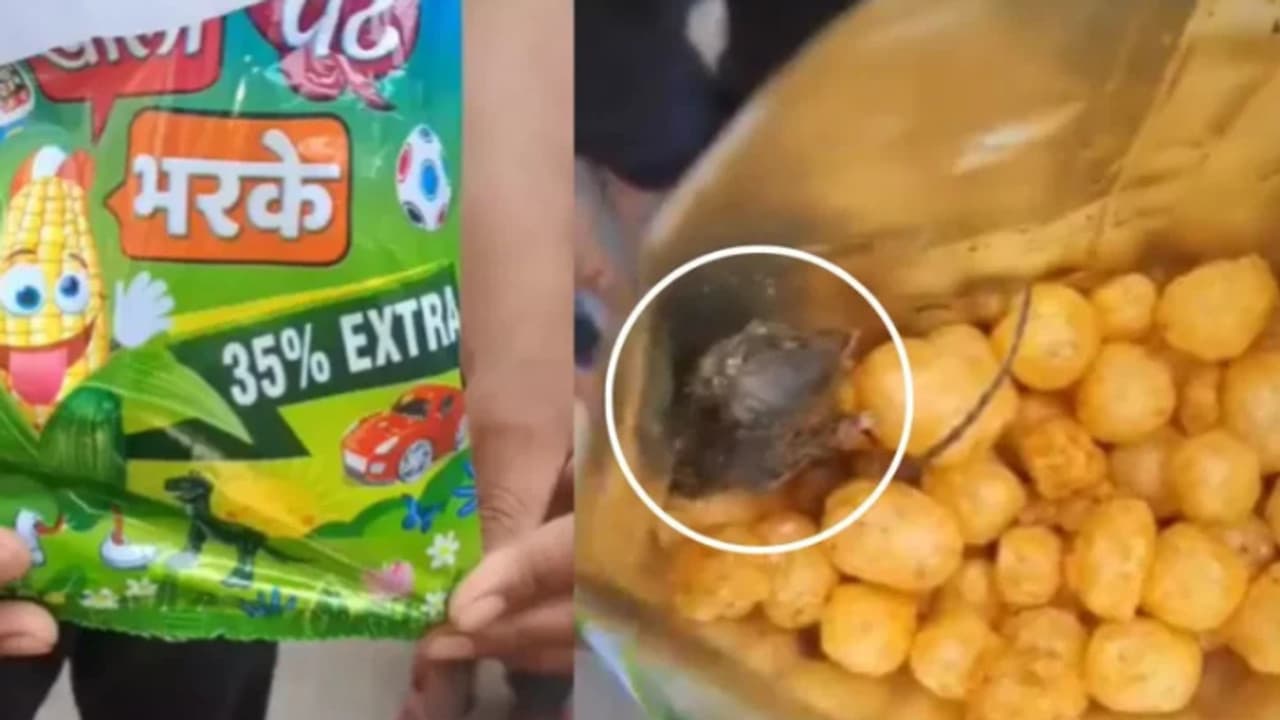 up news saharanpur packet food rat found inside child shocked food safety investigation 