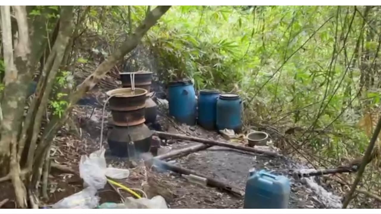 രഹസ്യവിവരം, എക്സൈസ് നേരെ നമ്പികുളം മലയിലേക്ക്, പരിശോധനയിൽ നശിപ്പിച്ചത് 700 ലിറ്റര് വാഷും 33 ലിറ്റര് ചാരായവും രഹസ്യവിവരം, എക്സൈസ് നേരെ നമ്പികുളം മലയിലേക്ക്, പരിശോധനയിൽ നശിപ്പിച്ചത് 700 ലിറ്റര് വാഷും 33 ലിറ്റര് ചാരായവും